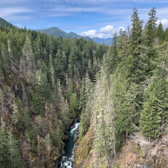 Meet your Posher, Lyndsay - Picture 1 of 1